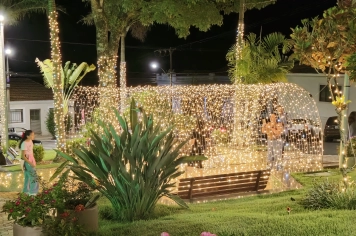 Foto - Decoração de Natal Albertina de Luz 2025