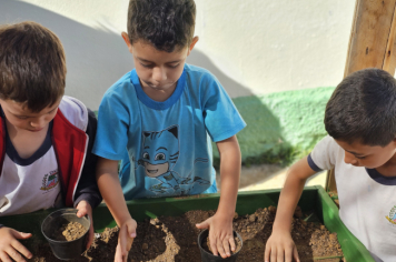 Foto - Plantio de Sementes (Dia da Árvore | Pré-Escola M. Luzia Sanches Diniz)