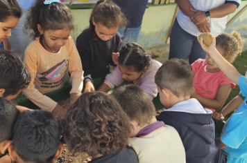 Foto - Plantio de Sementes (Dia da Árvore | Pré-Escola M. Luzia Sanches Diniz)