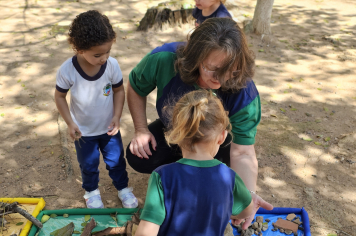 Foto relacionada - Pequenos Exploradores: Aprendizado em Contato com a Natureza