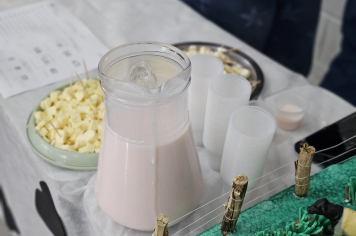 Foto - Feira do Corpo Humano