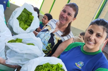 Foto - Horta dos Alunos da Escola Antonio Ferreira 
