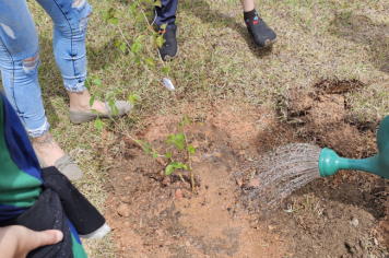 Foto - Plantio de Árvores  (Dia da Árvore | Escola Antonio Ferreira)