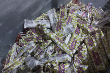 Foto - Dia das Crianças no Parque do Lago