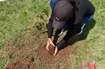 Foto relacionada - Educação Ambiental em Albertina vira ação prática com início do Projeto de Arborização Urbana