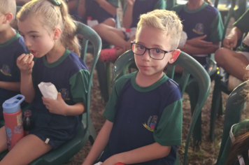 Foto - Crianças da Pré-Escola vivem dia mágico no circo em Jacutinga