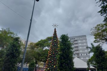 Foto - Viagem do Grupo Amor à Vida para Serra Negra