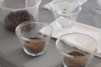 Foto - Encerramento do Curso de Classificação e Degustação de Cafés