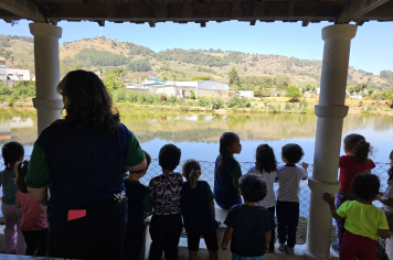 Foto - Material Pedagógica (Creche)