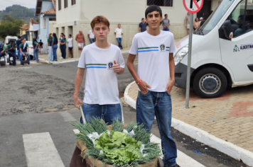 Foto - Desfile Cívico de 7 de Setembro