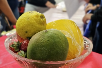 Foto - Feira do Corpo Humano