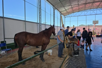 Foto - Feira José Gomes