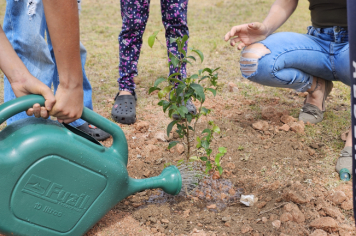 Foto - Plantio de Árvores  (Dia da Árvore | Escola Antonio Ferreira)