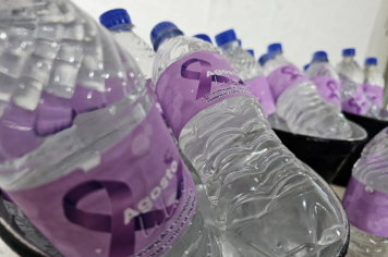 Foto - Agosto Lilás