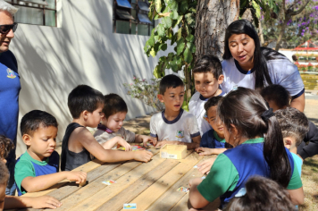 Foto - Jardim Sensorial da Pré-Escola Municipal Luzia Sanches Diniz