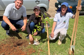 Foto relacionada - Educação Ambiental em Albertina vira ação prática com início do Projeto de Arborização Urbana