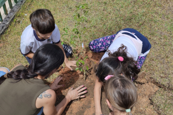 Foto - Plantio de Árvores  (Dia da Árvore | Escola Antonio Ferreira)