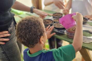 Foto - Plantio de Sementes (Dia da Árvore | Pré-Escola M. Luzia Sanches Diniz)