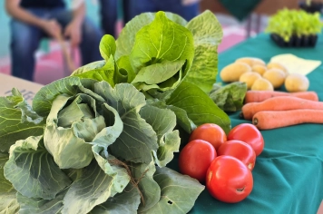 Foto - Feira José Gomes