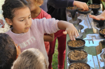 Foto - Plantio de Sementes (Dia da Árvore | Pré-Escola M. Luzia Sanches Diniz)