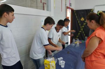 Foto - Feira de Conhecimento: Escola Municipal Antônio Ferreira