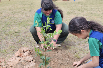 Foto - Plantio de Árvores  (Dia da Árvore | Escola Antonio Ferreira)
