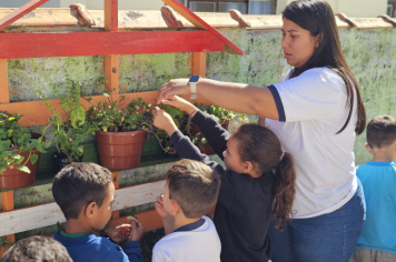 Foto - Jardim Sensorial da Pré-Escola Municipal Luzia Sanches Diniz