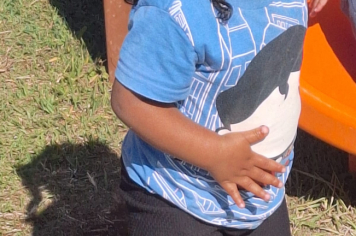 Foto - final de bimestre das Escolas e Creche 