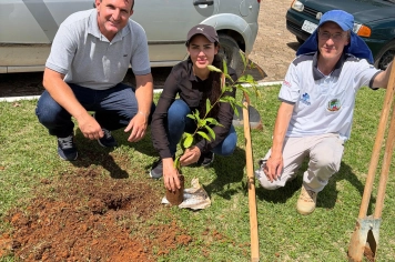Foto relacionada - Educação Ambiental em Albertina vira ação prática com início do Projeto de Arborização Urbana