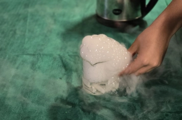 Foto - Feira José Gomes