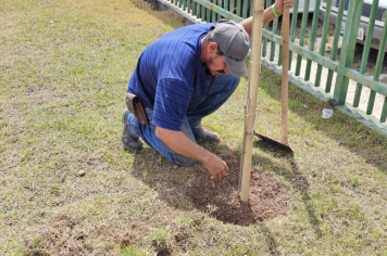 Foto - Plantio de Árvores  (Dia da Árvore | Escola Antonio Ferreira)