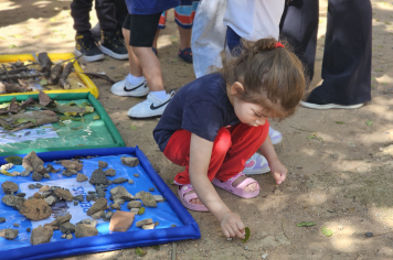 Foto relacionada - Pequenos Exploradores: Aprendizado em Contato com a Natureza