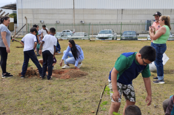 Foto - Plantio de Árvores  (Dia da Árvore | Escola Antonio Ferreira)