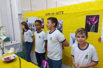 Foto - Feira de Conhecimento: Escola Municipal Antônio Ferreira