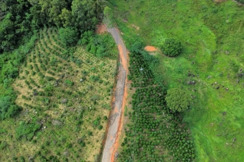 Foto relacionada - Governo Federal reconhece Situação de Emergência em Albertina após chuvas intensas