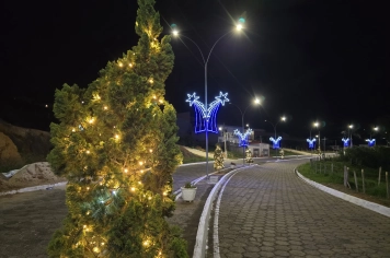 Foto - Decoração de Natal Albertina de Luz 2025