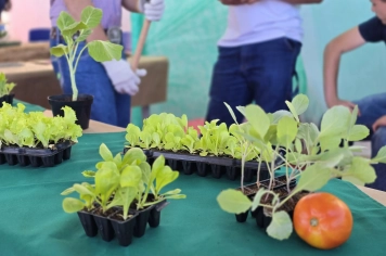 Foto - Feira José Gomes