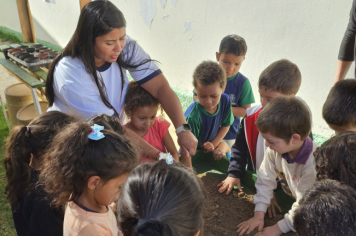 Foto - Plantio de Sementes (Dia da Árvore | Pré-Escola M. Luzia Sanches Diniz)