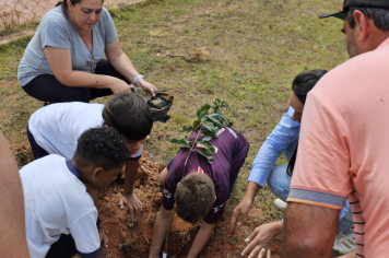 Foto - Plantio de Árvores  (Dia da Árvore | Escola Antonio Ferreira)
