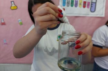 Foto - Feira de Conhecimento: Escola Municipal Antônio Ferreira