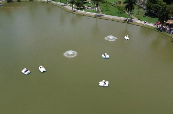 Foto - Parque do Lago Municipal