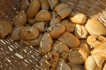 Foto - Natal na Praça – Albertina de Luz 2025