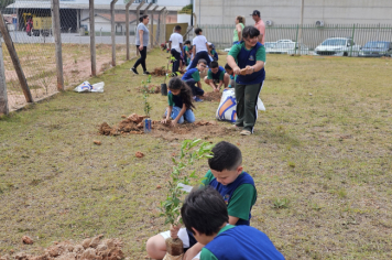 Foto - Plantio de Árvores  (Dia da Árvore | Escola Antonio Ferreira)