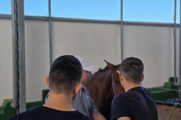 Foto - Feira José Gomes