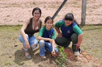 Foto - Plantio de Árvores  (Dia da Árvore | Escola Antonio Ferreira)