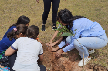 Foto - Plantio de Árvores  (Dia da Árvore | Escola Antonio Ferreira)