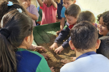 Foto - Plantio de Sementes (Dia da Árvore | Pré-Escola M. Luzia Sanches Diniz)