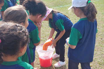 Foto relacionada - Semana da Criança: Pré-Escola Municipal Luzia Sanches Diniz vive dia de alegria e diversão no Clube Caco Velho!