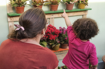 Jardim Sensorial da Creche estimula sentidos e promove aprendizado com a natureza