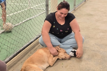 Castramóvel chega a Albertina e ainda tem 30 vagas para castração gratuita de cães e gatos